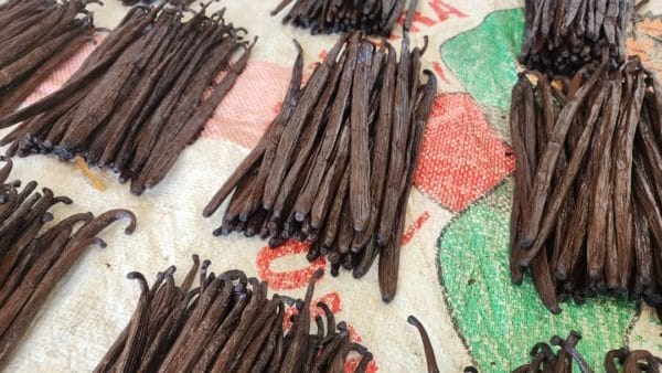 5 gousses de Vanille bourbon de Madagascar 16-18cm Gourmet/Premium/Collection VAVASAHA – Image 5